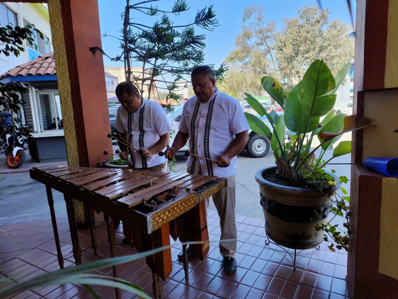 Músicos tocando marimba